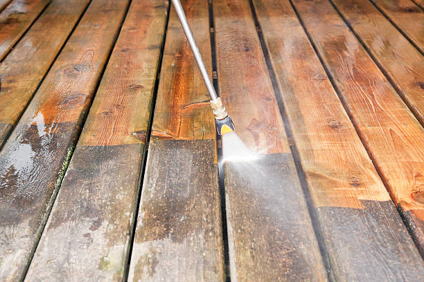 Best Sidewalk and Walkway Cleaning  in Crivitz, WI